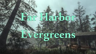 Far Harbor Evergreens